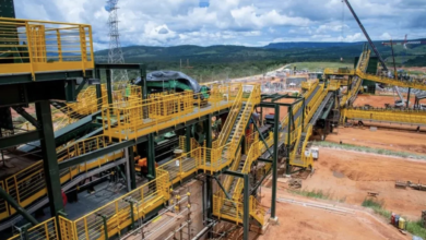 Sigma Lithium, Aura Minerals, Bravo Mining e Brazilian Rare Earths são exemplos de empresas que entregam resultados consistentes aos investidores.